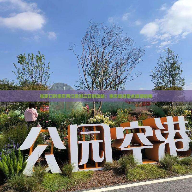 张家口到重庆两江夜游三日游