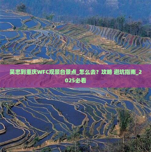 吴忠到重庆wfc观景台景点