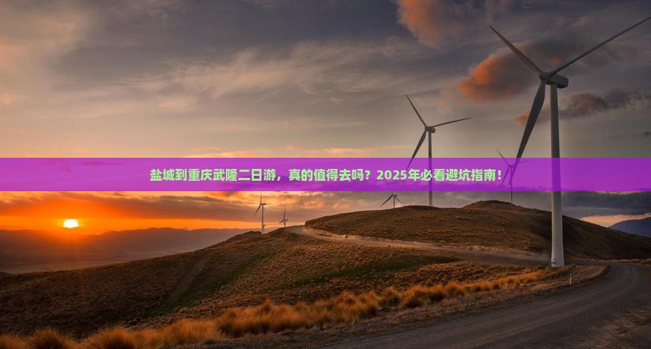 盐城到重庆武隆二日游