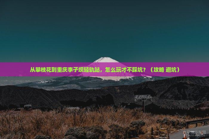攀枝花到重庆李子坝轻轨站个人游