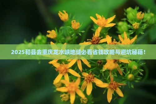 和县去重庆龙水峡地缝旅行社