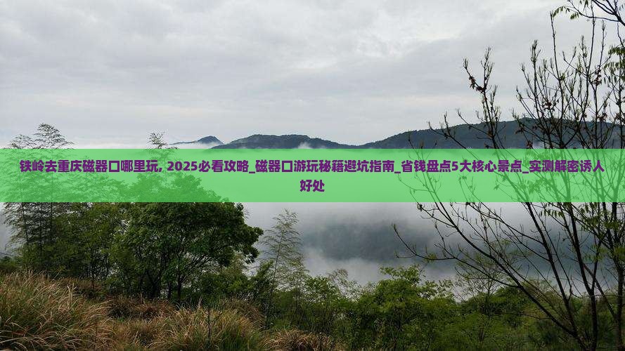 铁岭去重庆磁器口哪里玩