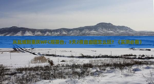 盐城到重庆wfc观景台自由团