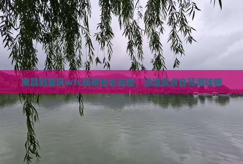 南昌到重庆wfc观景台必去地