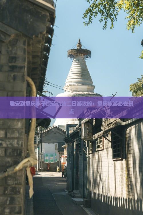 雅安到重庆李子坝轻轨站二日游