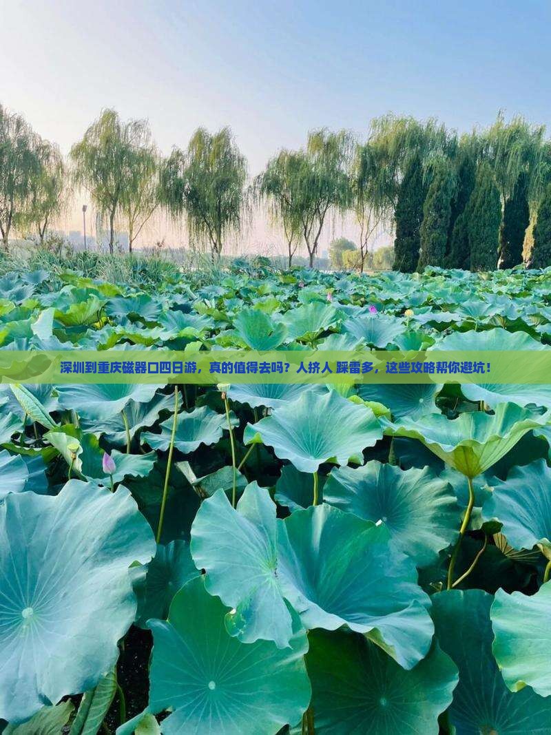 深圳到重庆磁器口四日游