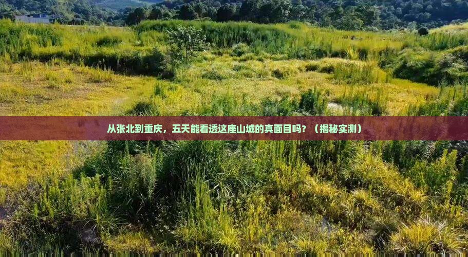 张北到重庆五日游