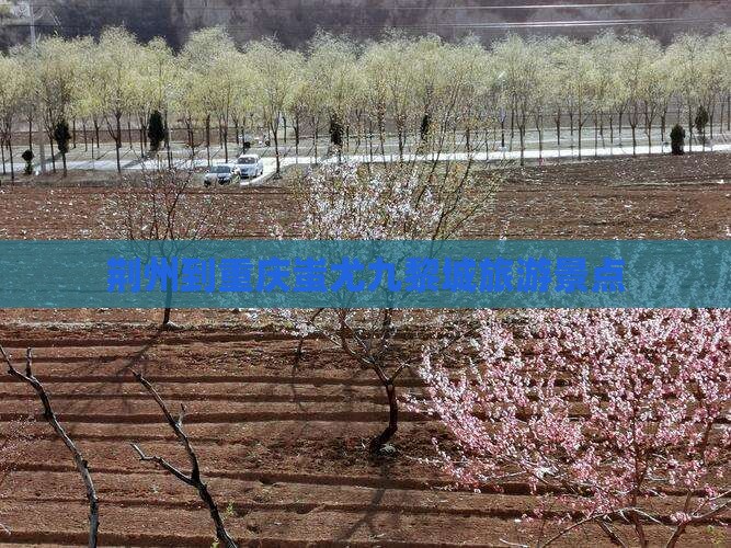 荆州到重庆蚩尤九黎城景点