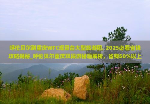 呼伦贝尔到重庆wfc观景台大型旅游团