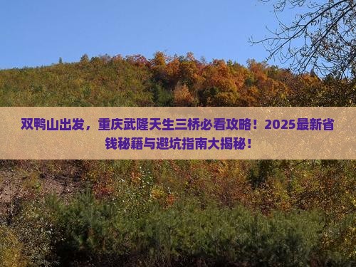 双鸭山去重庆武隆天生三桥旅游小吃