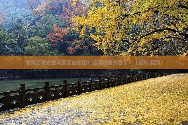 襄樊去重庆武隆自由团