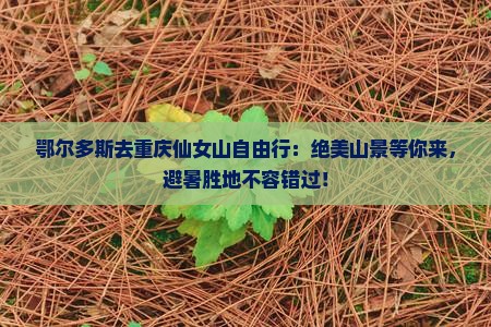 鄂尔多斯去重庆仙女山自由行