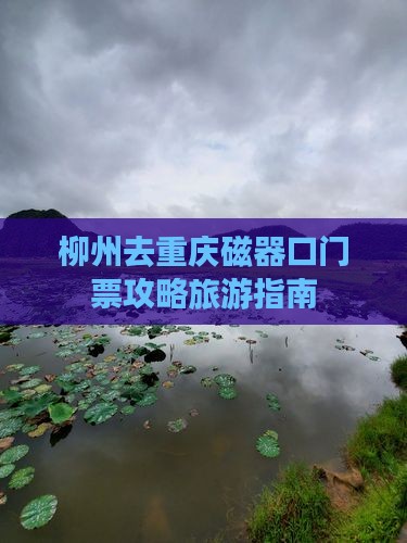 柳州去重庆磁器口门票
