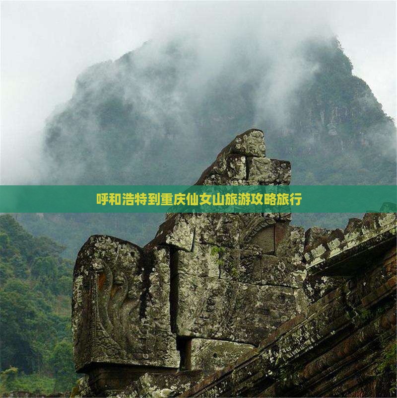 呼和浩特到重庆仙女山旅行社 呼和浩特到重庆仙女山旅行社