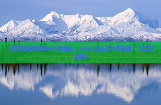 双鸭山去重庆wfc观景台个人游