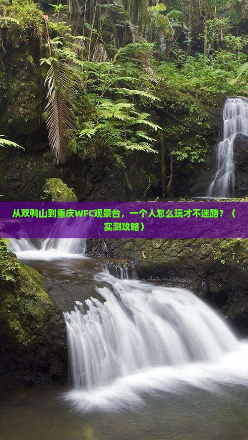 双鸭山去重庆wfc观景台个人游