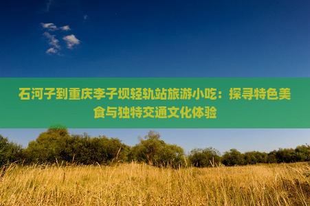 石河子到重庆李子坝轻轨站旅游小吃