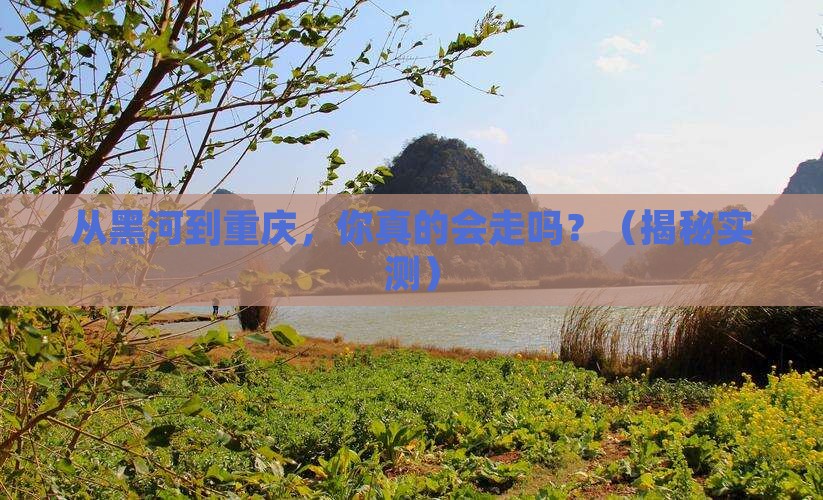 黑河到重庆自由行