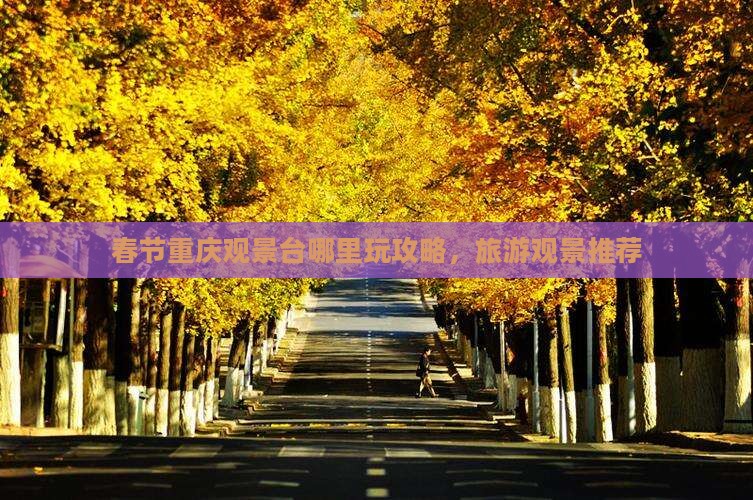 春节去重庆wfc观景台哪里玩