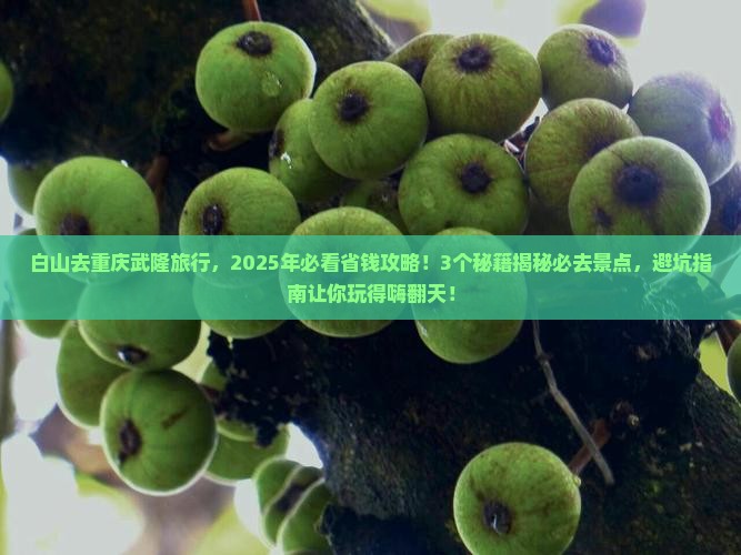 白山去重庆武隆旅行社