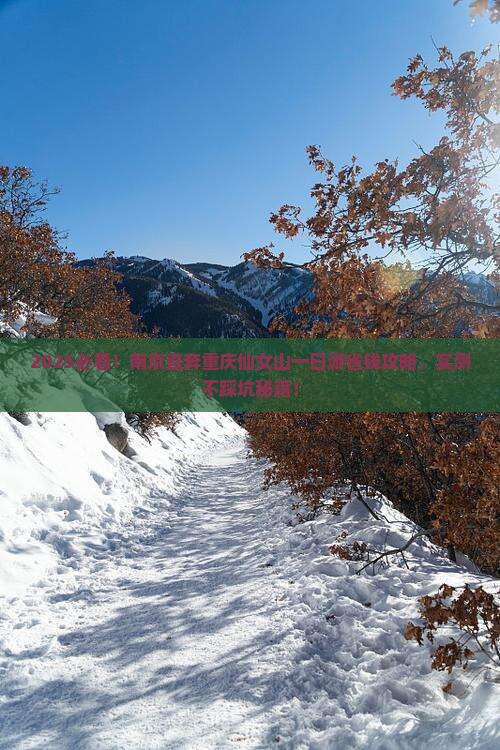 南京去重庆仙女山一日