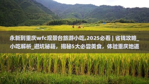 永新到重庆wfc观景台旅游小吃