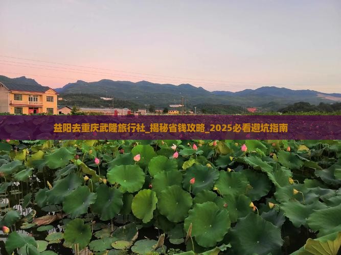 益阳去重庆武隆旅行社