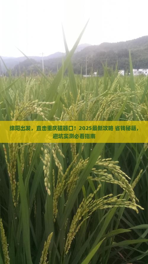 绵阳去重庆磁器口景点