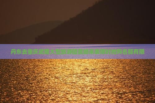 丹东去重庆武隆大型旅游团