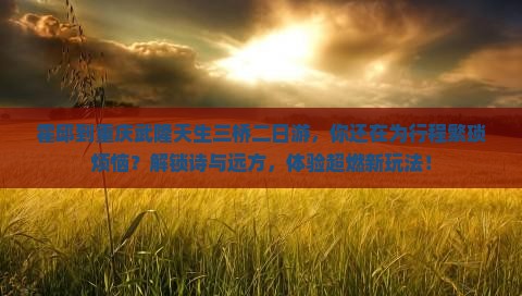 霍邱到重庆武隆天生三桥二日游