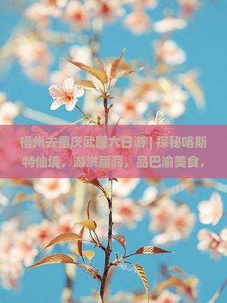 梧州去重庆武隆六日游