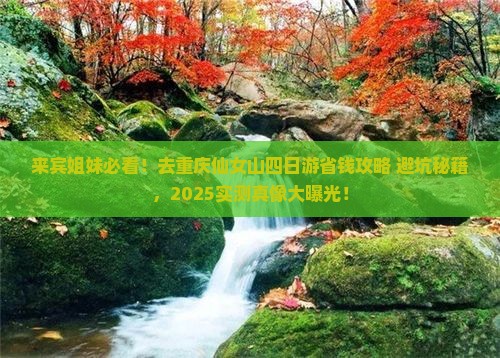 来宾去重庆仙女山四日游