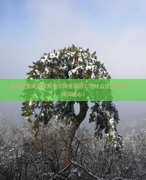 清远去重庆武隆天生三桥自由团