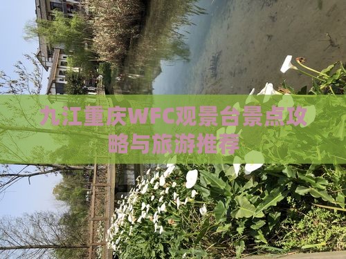 九江去重庆wfc观景台景点