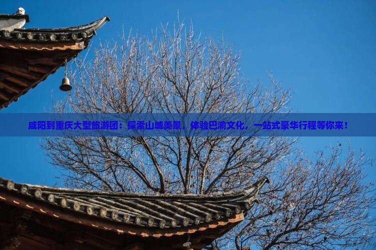 咸阳到重庆大型旅游团