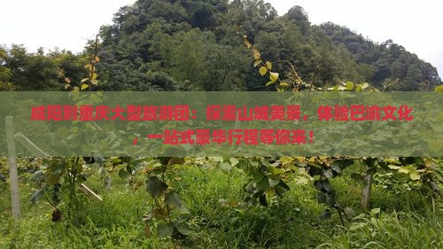 咸阳到重庆大型旅游团