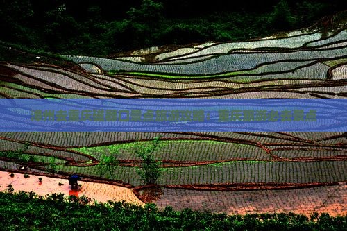 漳州去重庆磁器口景点