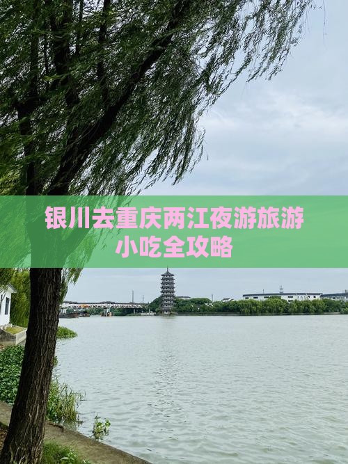 银川去重庆两江夜游旅游小吃