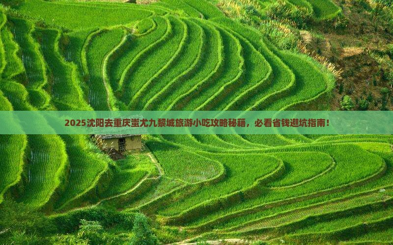 沈阳去重庆蚩尤九黎城旅游小吃