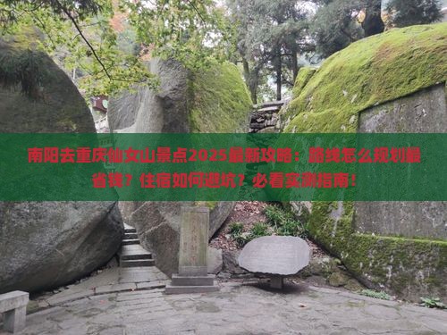 南阳去重庆仙女山景点
