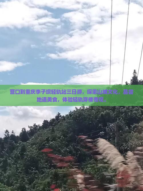 营口到重庆李子坝轻轨站三日游