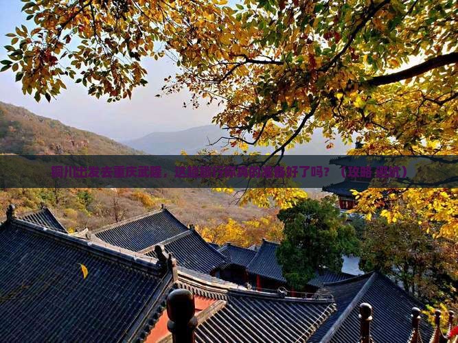 铜川到重庆武隆旅行社