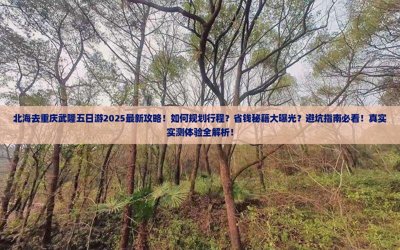 北海去重庆武隆五日游