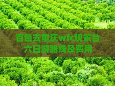 百色去重庆wfc观景台六日游