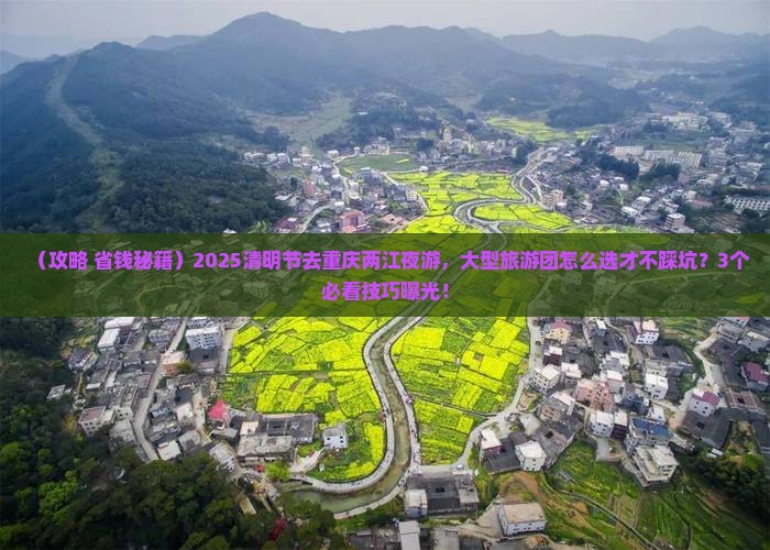清明节到重庆两江夜游大型旅游团