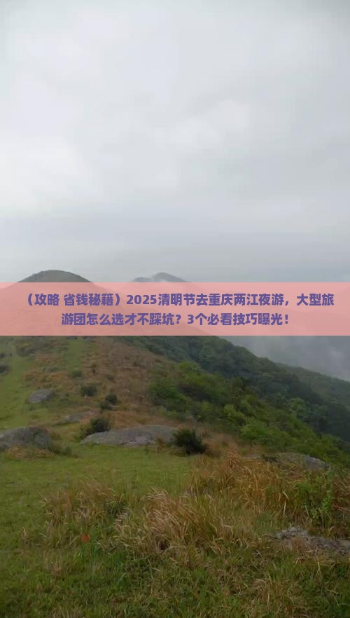 清明节到重庆两江夜游大型旅游团