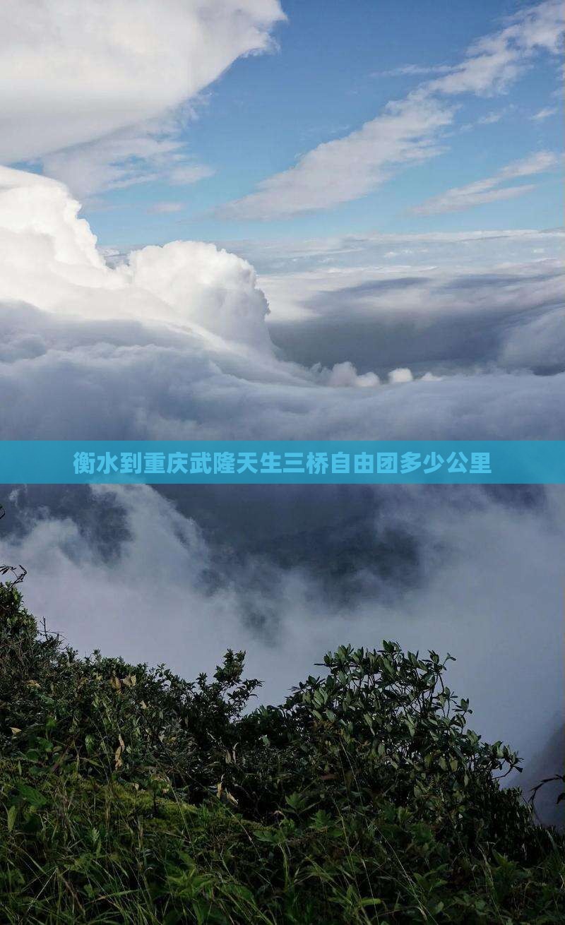 衡水到重庆武隆天生三桥自由团