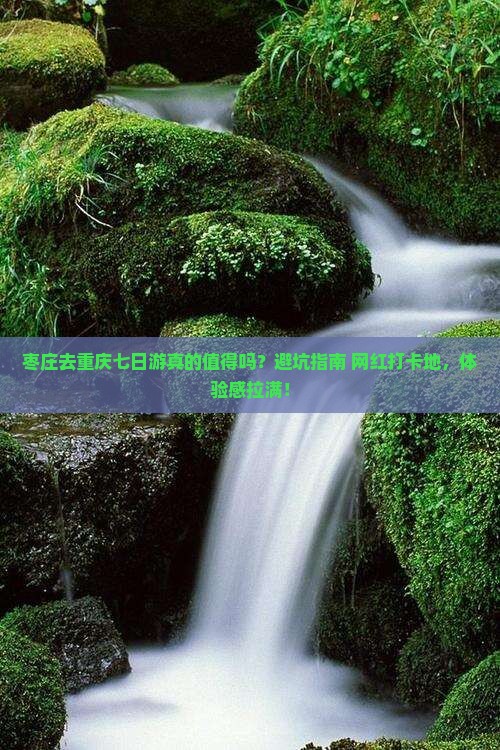 枣庄去重庆七日游