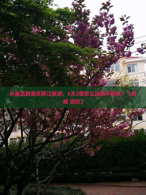 金昌到重庆两江夜游攻略