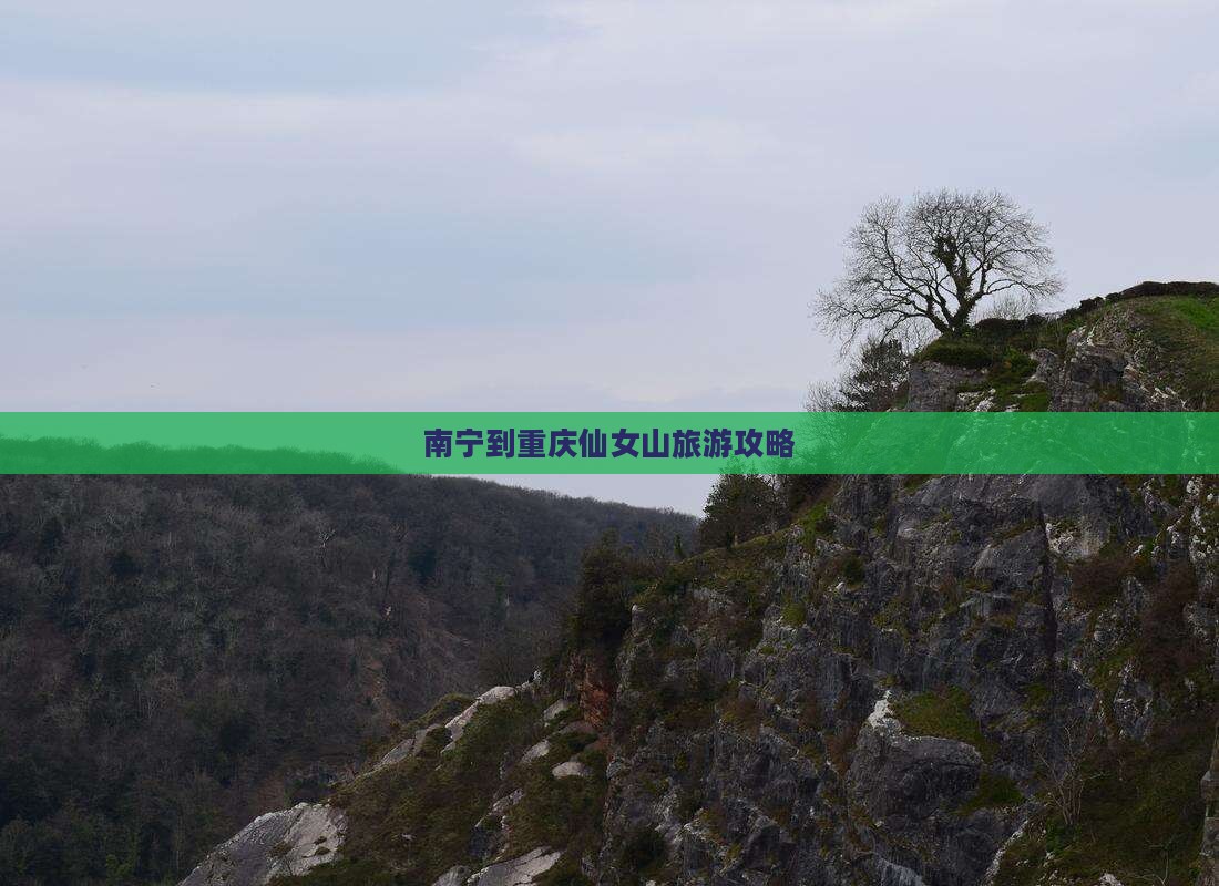 南宁到重庆仙女山旅游